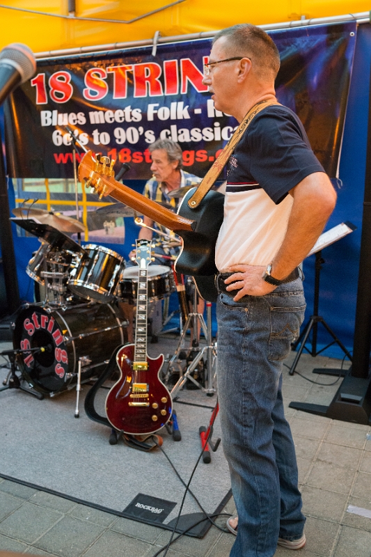 2015 07 24 18Strings DesAlpes 02213