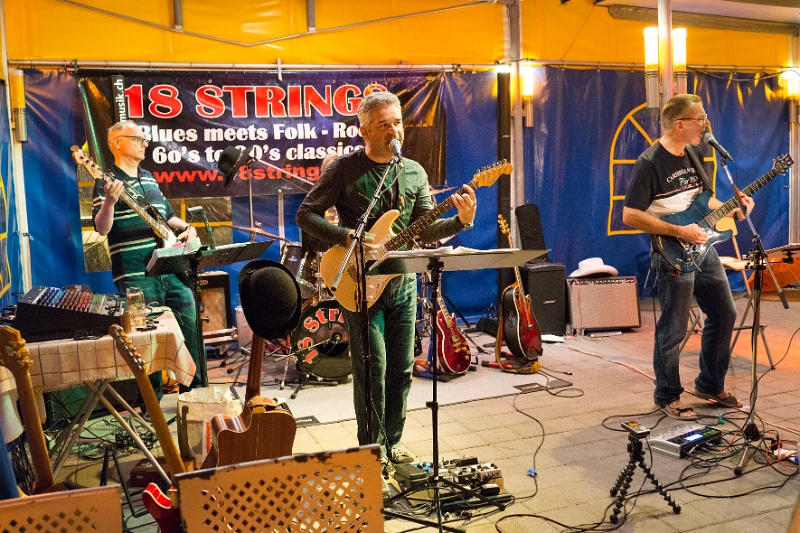 2015 07 24 18Strings DesAlpes 02232