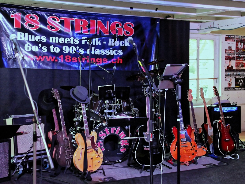 004 18Strings-20170602-Baronessa-9118