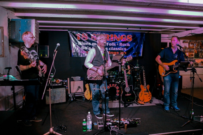 098 18Strings-20170602-Baronessa-9298