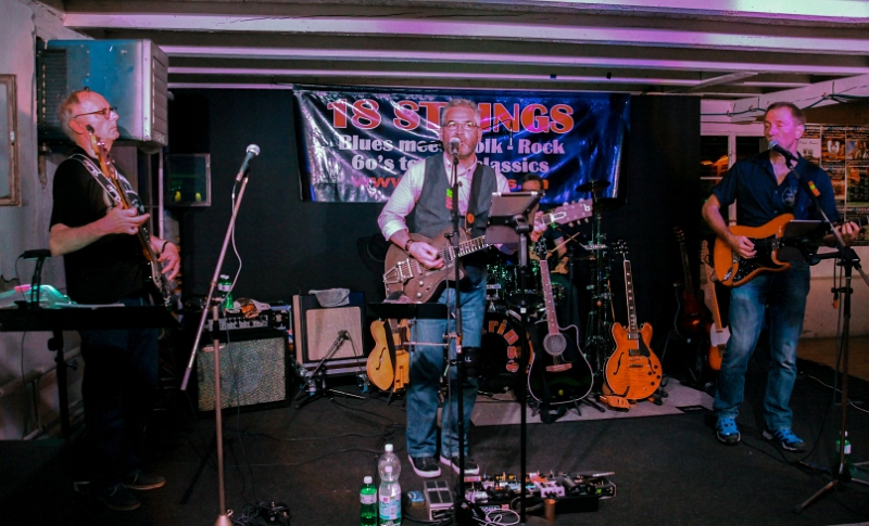 099 18Strings-20170602-Baronessa-9299