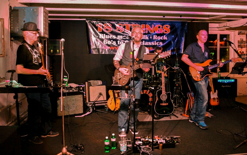 126 18Strings-20170602-Baronessa-9384