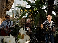 18Strings Tandem Sommerfest 2025 Fotos: Marius Bisaro