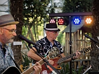 18Strings Tandem Sommerfest 2025 Fotos: Marius Bisaro