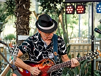 18Strings Tandem Sommerfest 2025 Fotos: Marius Bisaro